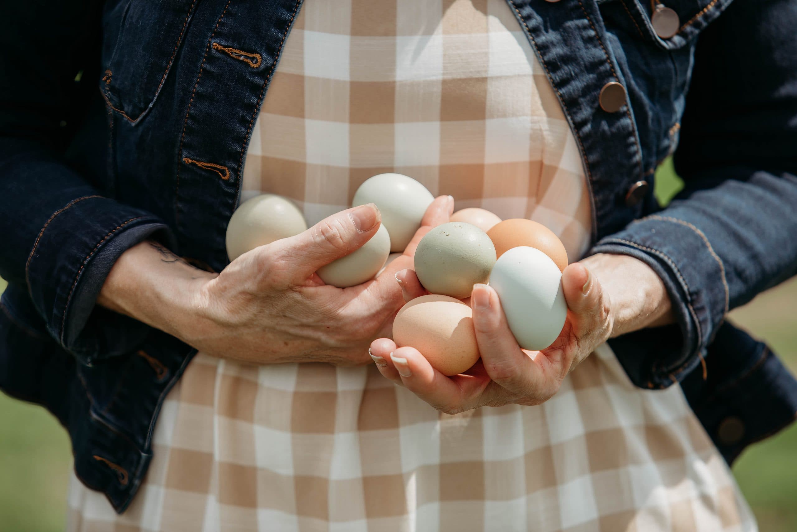 Ask the Nutritionist Week 2: Protein Power